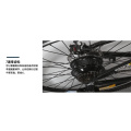 26inch High Quality Lithium Battery Folding Electric Bike Smart Electric Mountain Bike